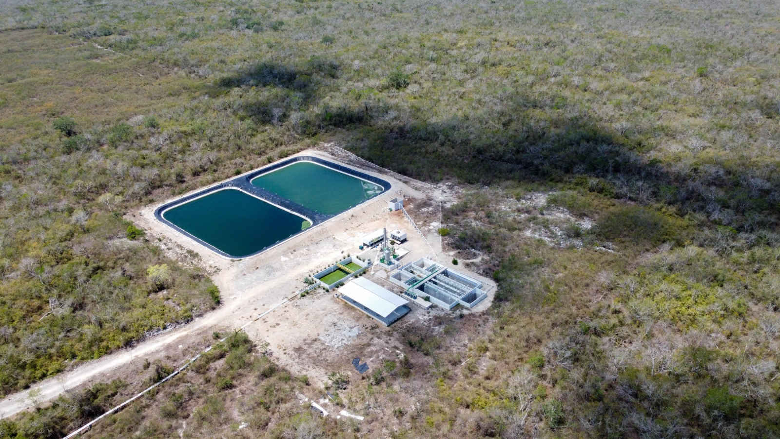 Pobladores de Homún, en espera de fallo contra Kekén; no permitirán reapertura de la granja