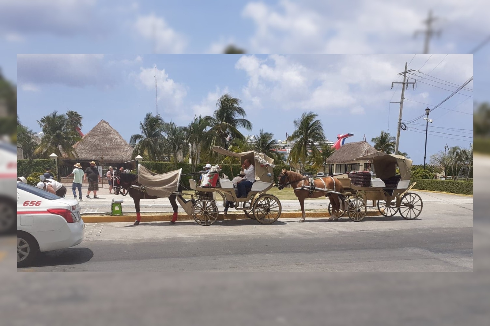 La Ley de Bienestar Animal prohíbe la explotación de los caballos en calesas, pero los dueños de estos transportes se ampararon para poder laborar en Cozumel