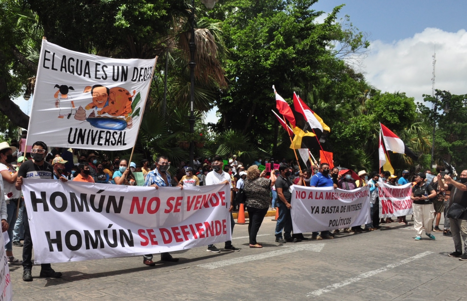 Ambientalistas de Homún confirman amenazas tras protesta contra granjas porcícolas