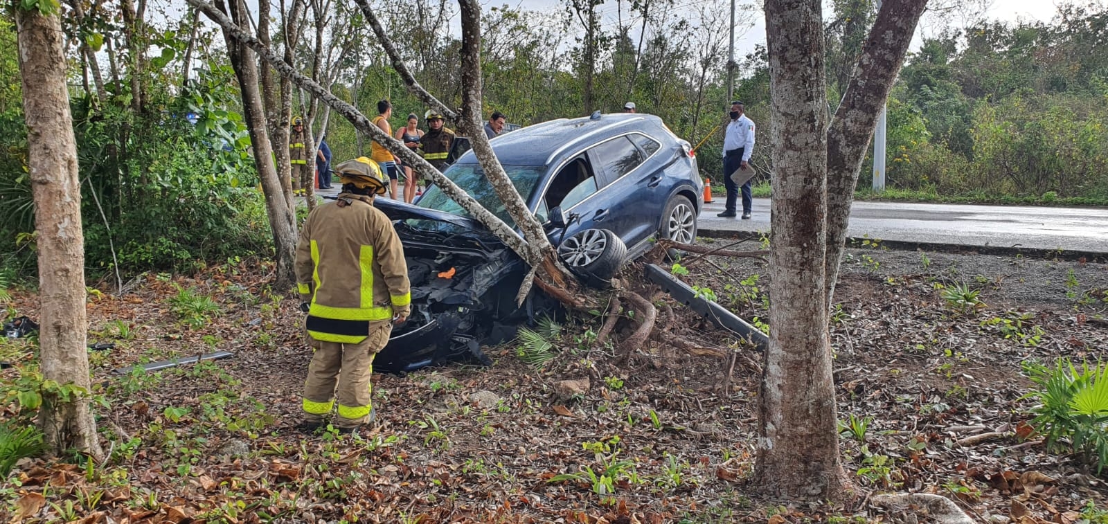 Por presuntamente esquivar un animal, un automovilista choca en Cozumel