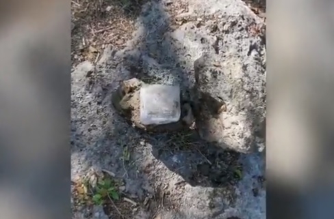 Hallan medidores de luz en un cenote de Kopomá, Yucatán: VIDEO