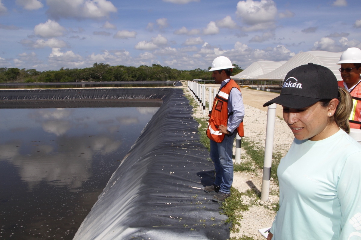 Pronatura trabaja con situaciones medioambientales en Yucatán y a nivel nacional