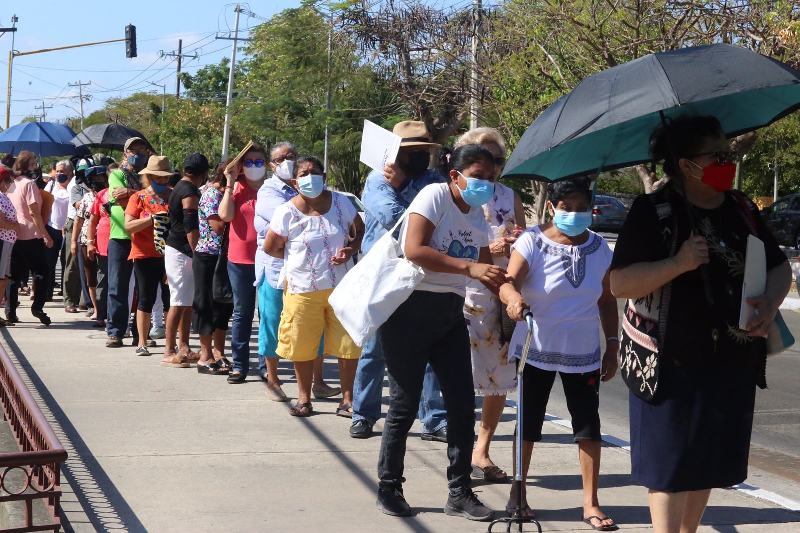 Abuelitos de Mérida acuden al registro de su pensión del Gobierno Federal