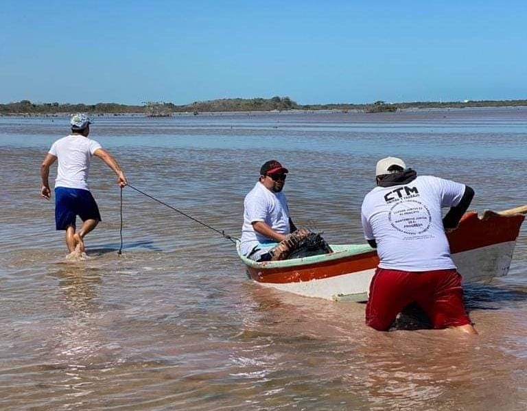 Un grupo de 21 pescadores de Chicxulub se encuentran rehabilitando el ojo de agua con recursos propio