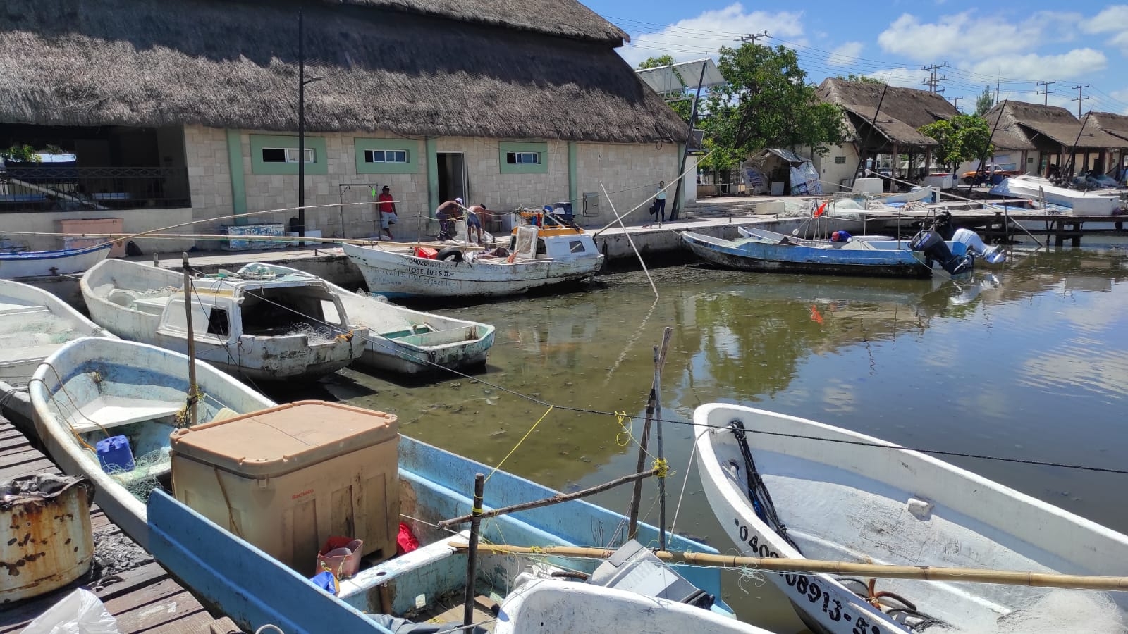 Con el ordenamiento pesquero se busca saber cuántas personas se dedican a esta actividad en Campeche