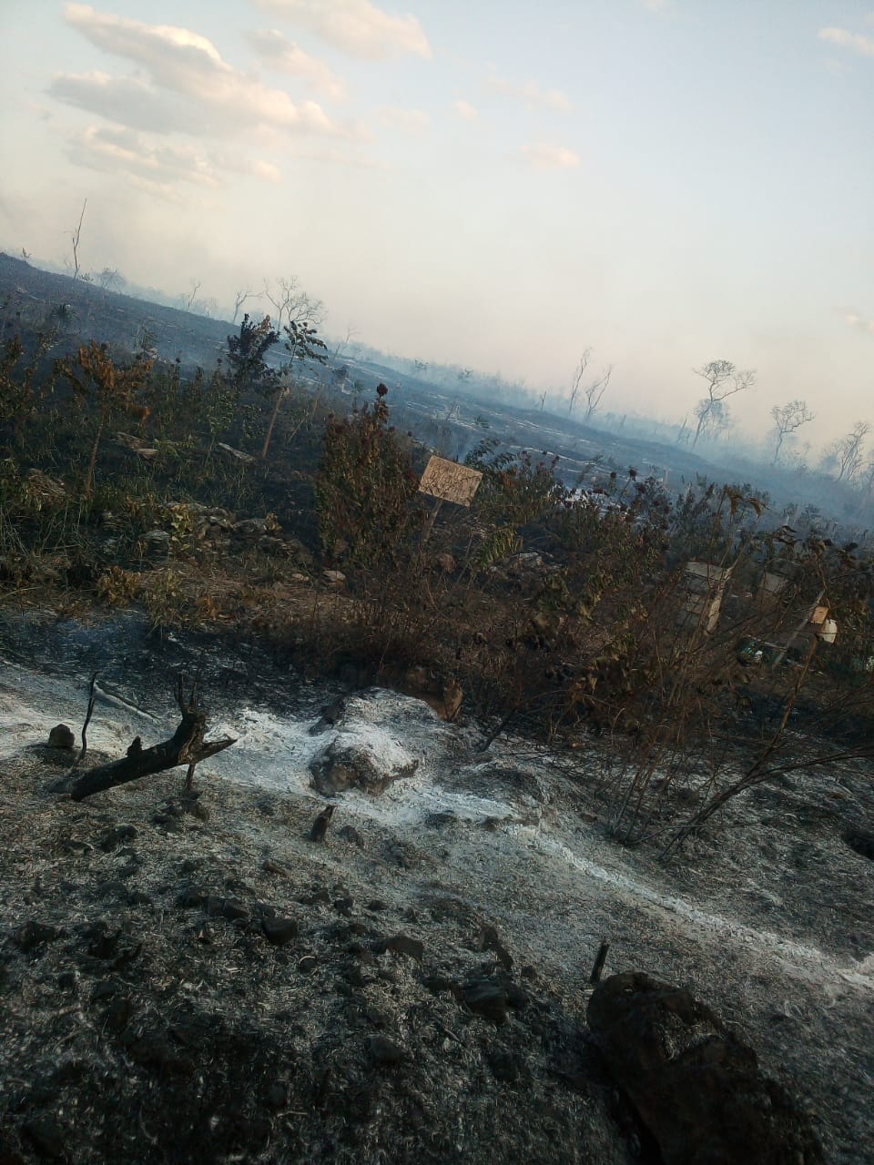 Los incendios cerca de Calakmul habían perjudicado varias hectáreas de terreno