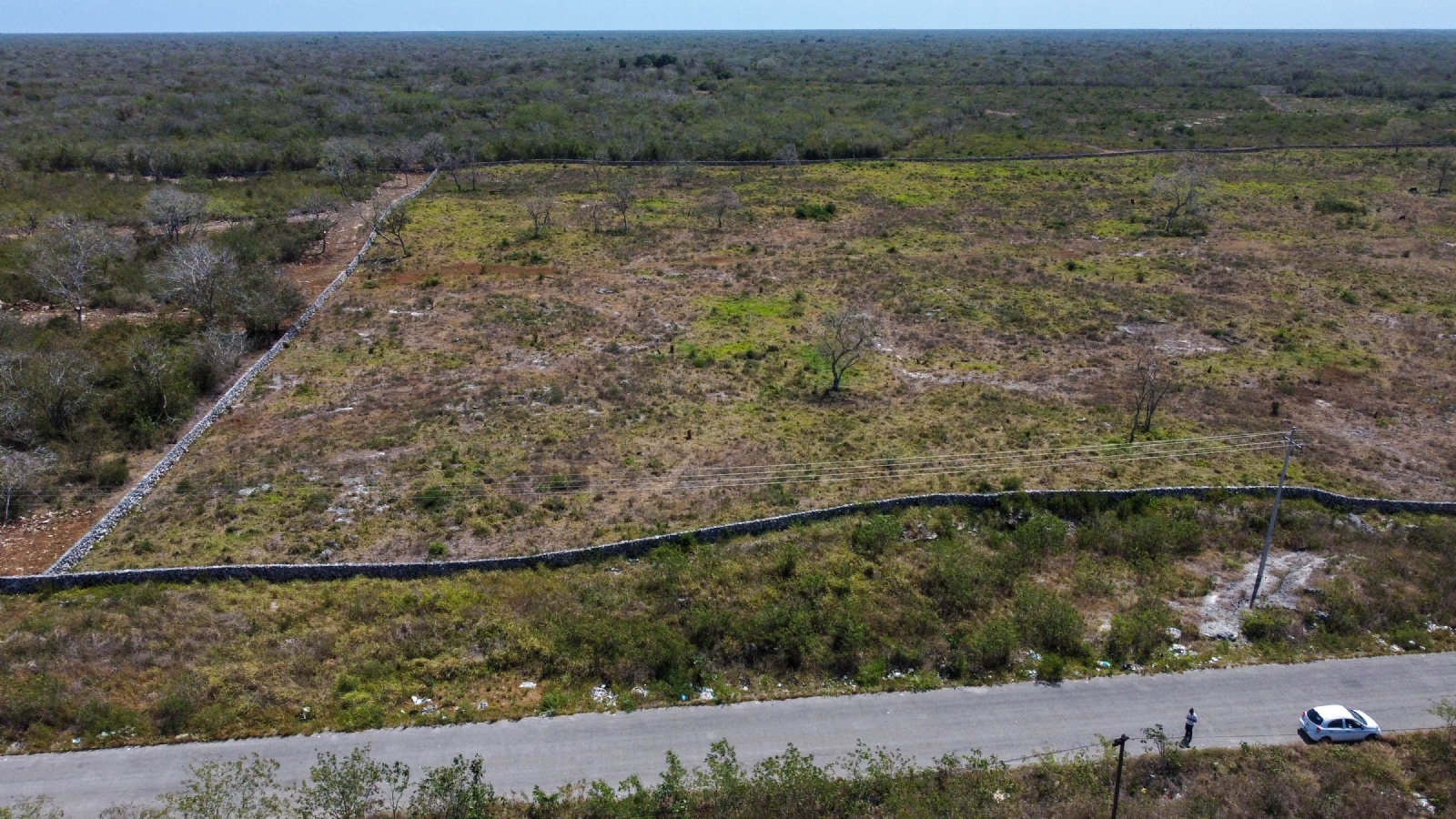 Empresario de Guadalajara compra lotes de inversión en Yucatán; teme ser estafado