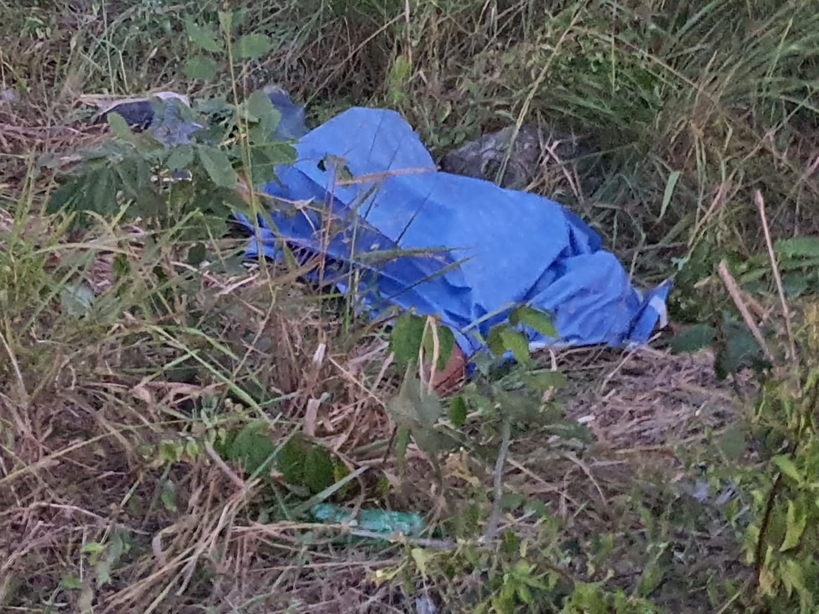 El conductor de la motocicleta murió en la zona del accidente, cerca del entronque para ir a la comunidad 'Álvaro Obregón Nuevo' al Sur de Quintana Roo