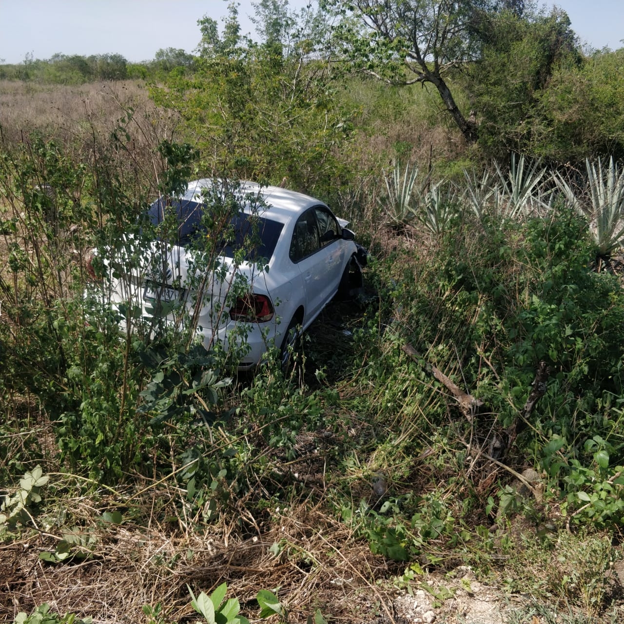 El vehículo terminó entre la maleza de una de las laterales de la Mérida-Valladolid con daños considerables; su conductor resultó ileso