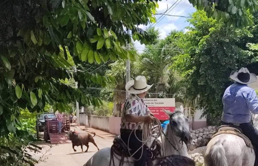 El toro recorrió las calles de Chumayel tras ser atacado en una corrida