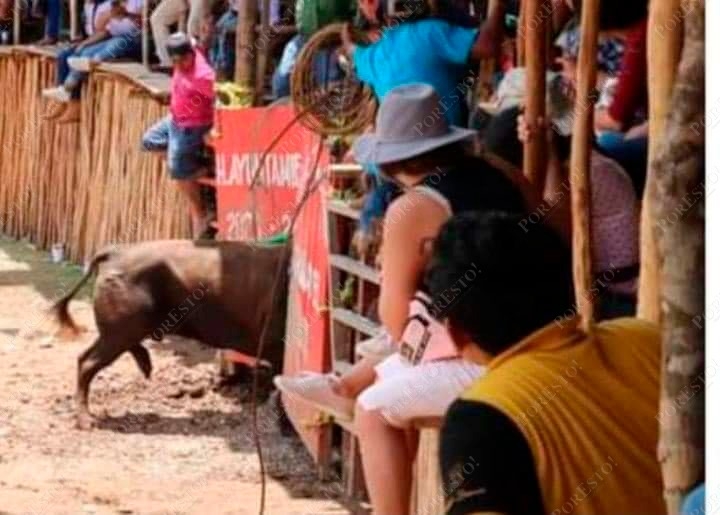 Toro se escapa de una corrida en la Feria de Chumayel: VIDEO