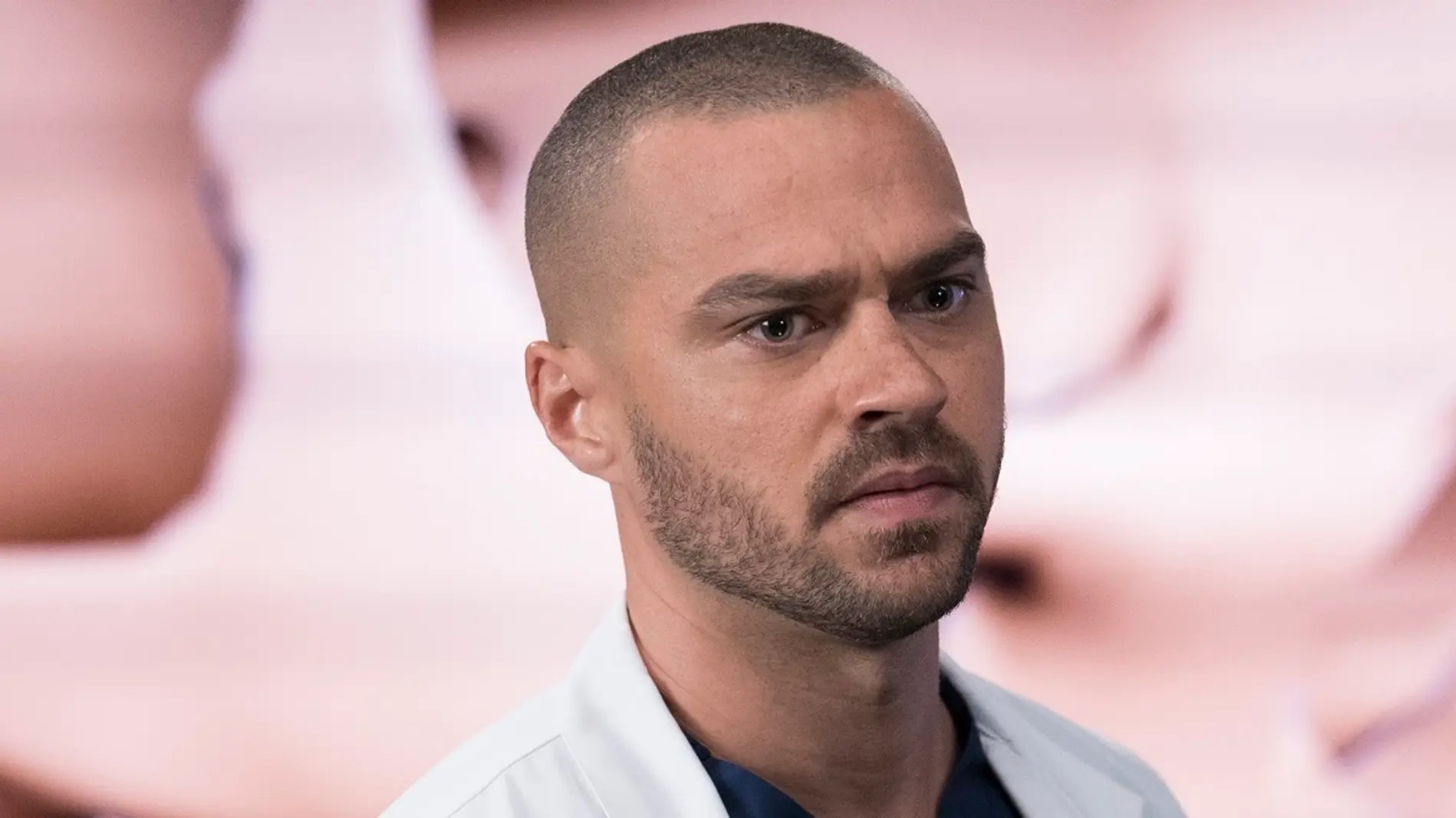 Jesse Williams ha actuado en otras series, entre ellas Grey's Anatomy