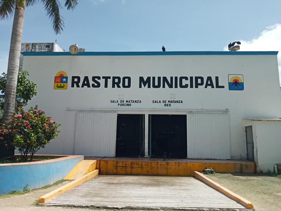 Empleados del Rastro Municipal de Cozumel, sin uniformes y material para trabajar