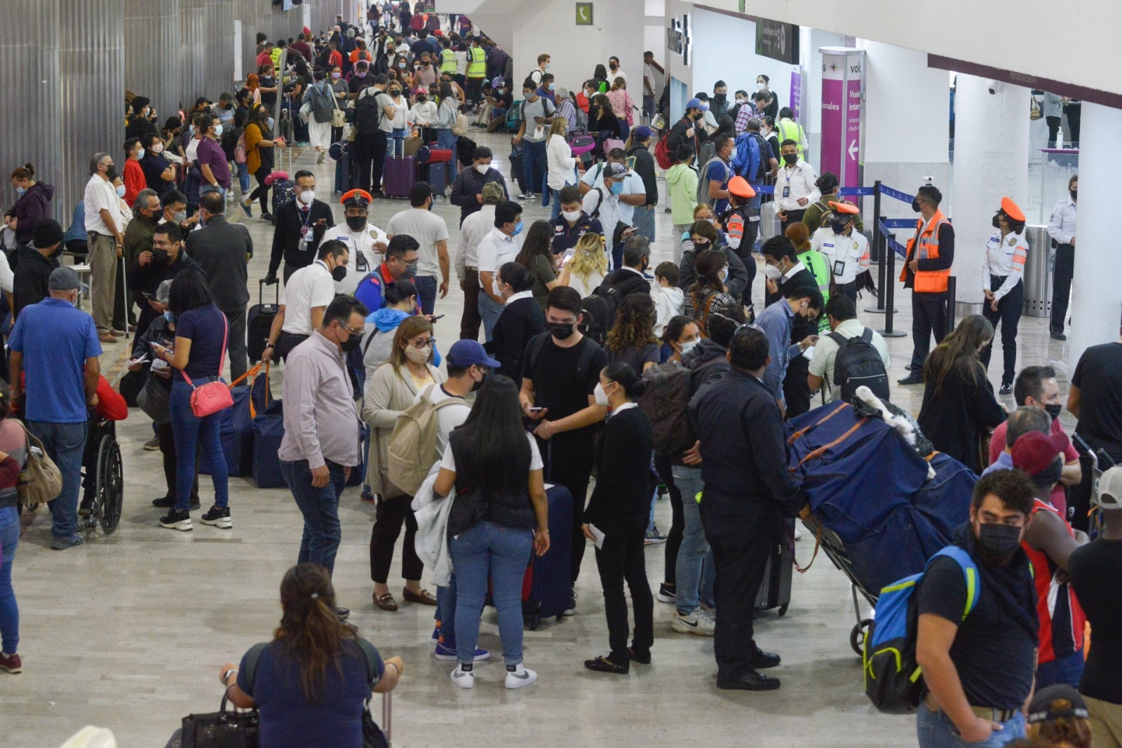 El AICM informó que el incidente ocurrió entre las puertas 5 y 6, debido a las vibraciones en la estructura del puente