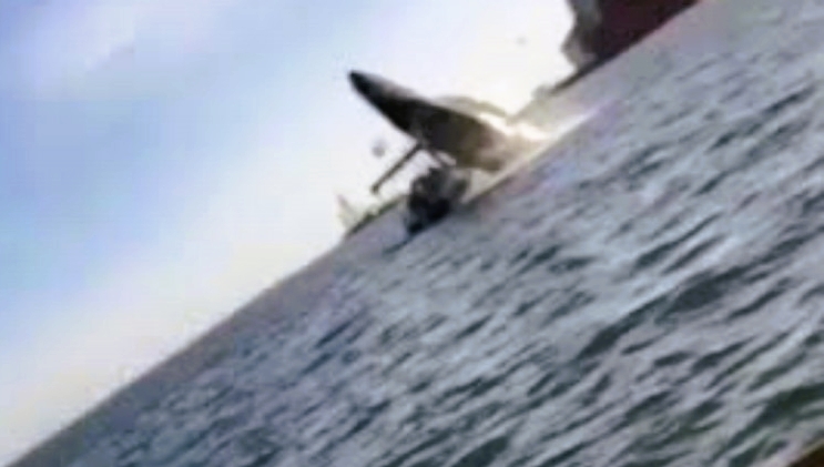Las autoridades amenazan con prohibir acercarse a la ballena. Foto: Especial
