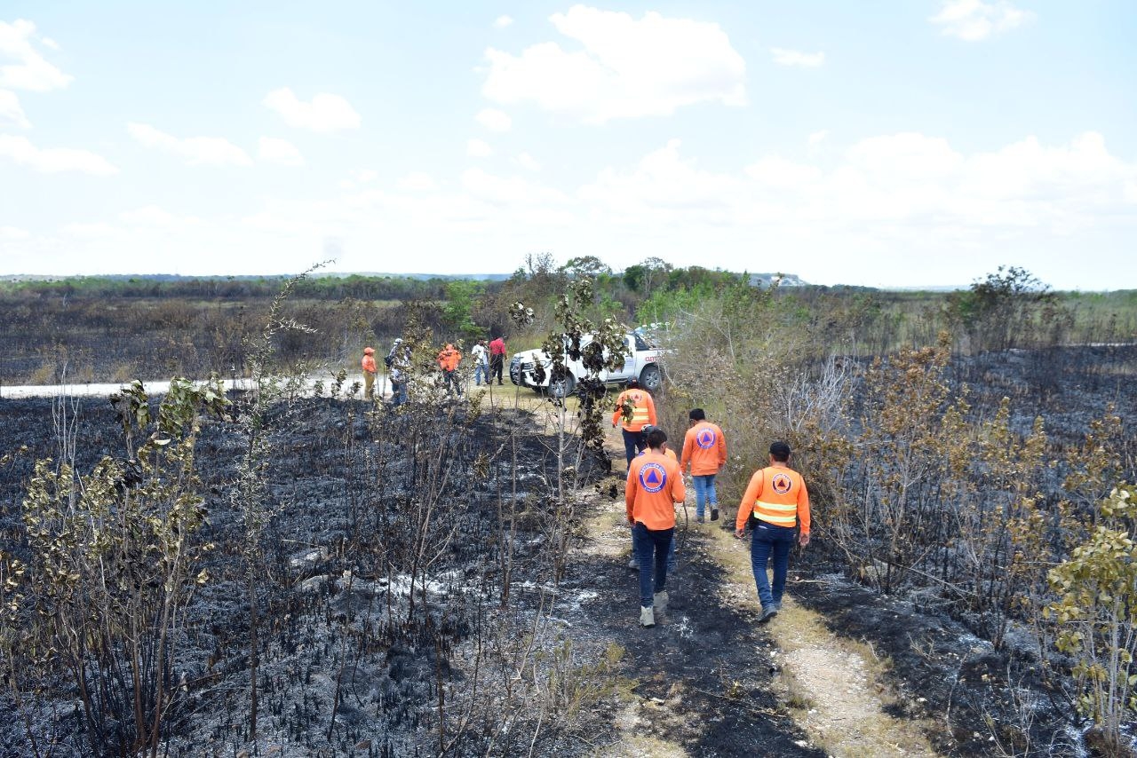 Incendio consume 600 hectáreas de pastizales en Kobén, Campeche