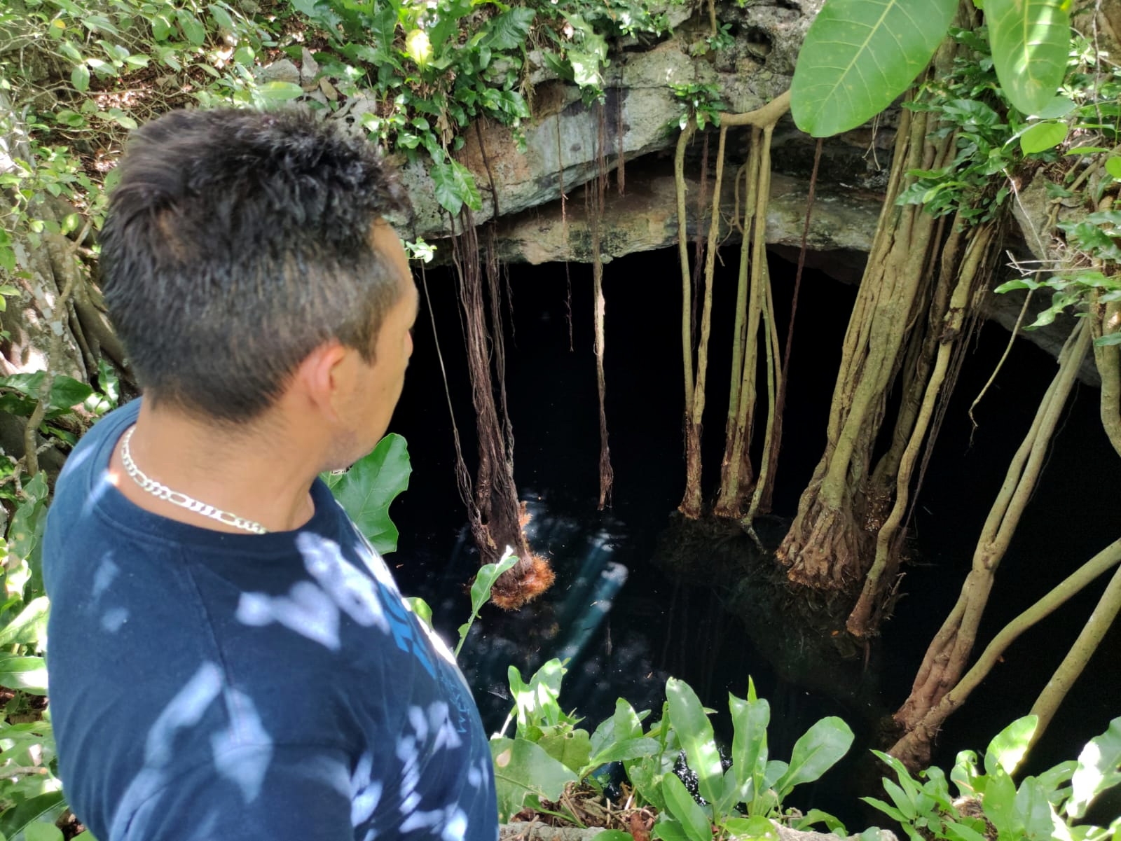 Investigadores de la UADY hallan herbicida en cenotes de Yucatán