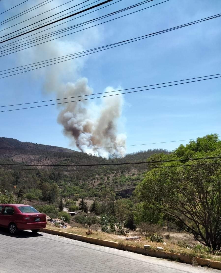 El incendio se dio en medio de toda la vegetación