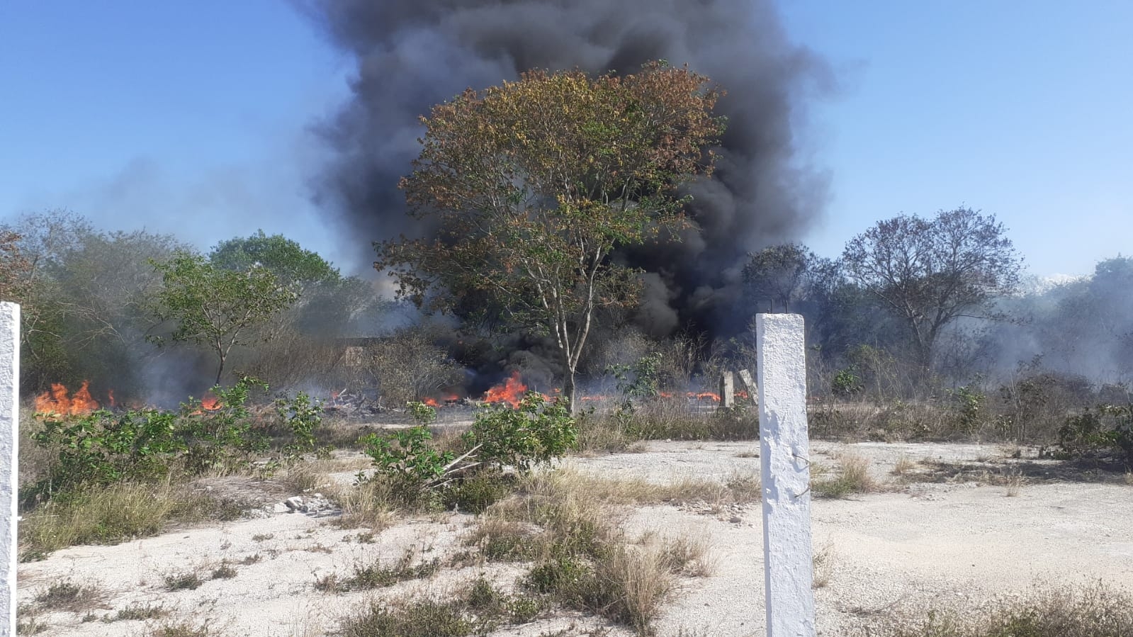 Incendio en Baca consume más de dos hectáreas de maleza