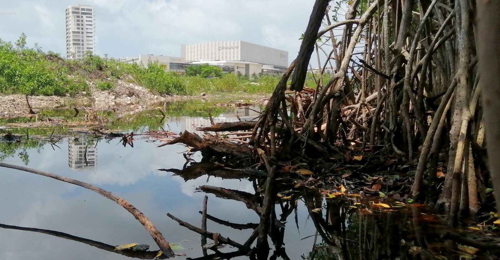 El IMCO indicó que lo Estados de la Península de Yucatán tienen problemas para encontrar la sustentabilidad de sus recursos naturales