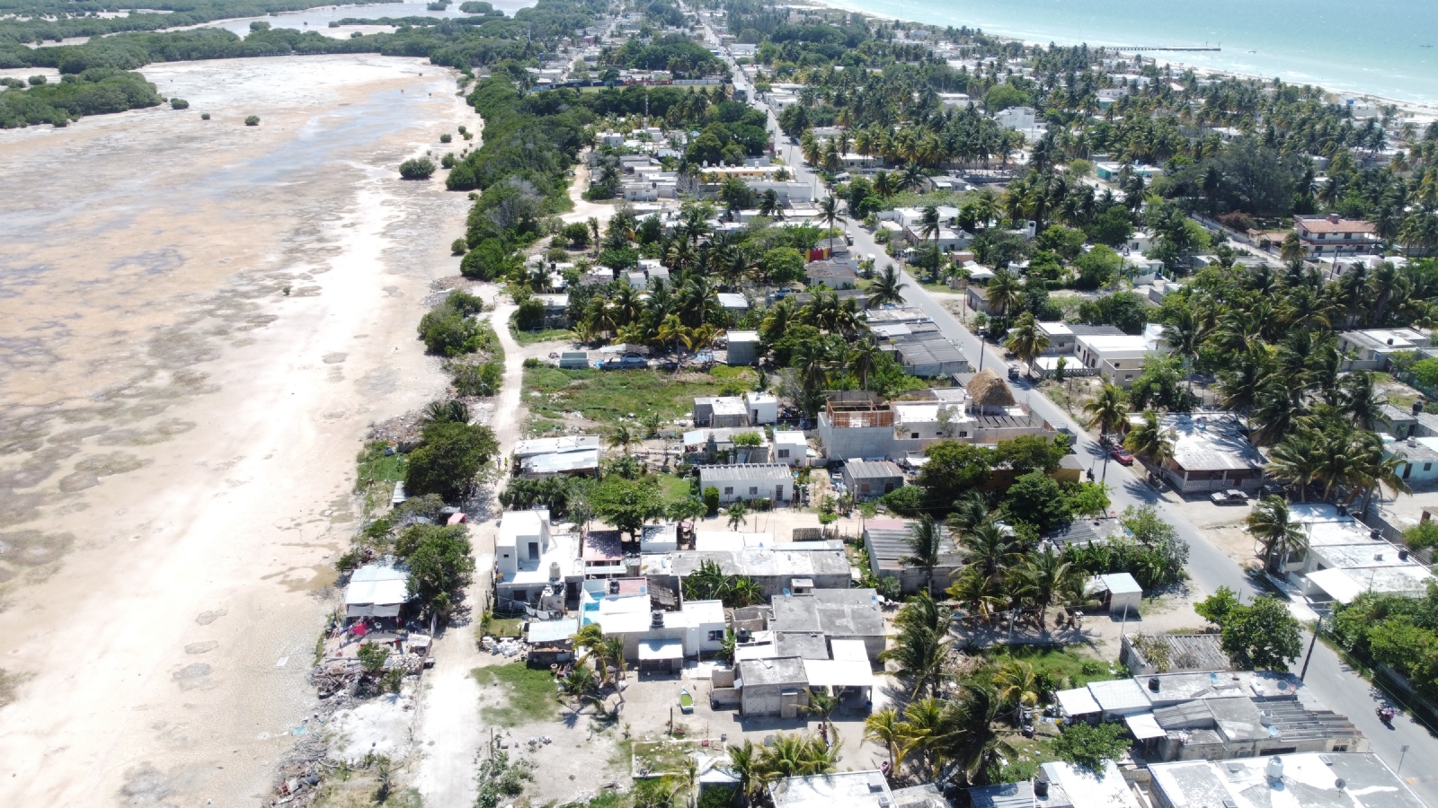 Con maquinaria pesada y motosierras destruyeron 23 mil metros cuadrados de manglar en Sisal