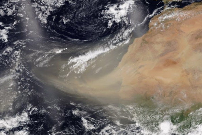 El Polvo del Sahara es traído por los vientos alisios. Foto: Satélite