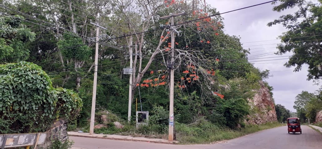 En el terreno donde se encuentra la antena de Telcel, una mujer intentó suicidarse hace unos meses