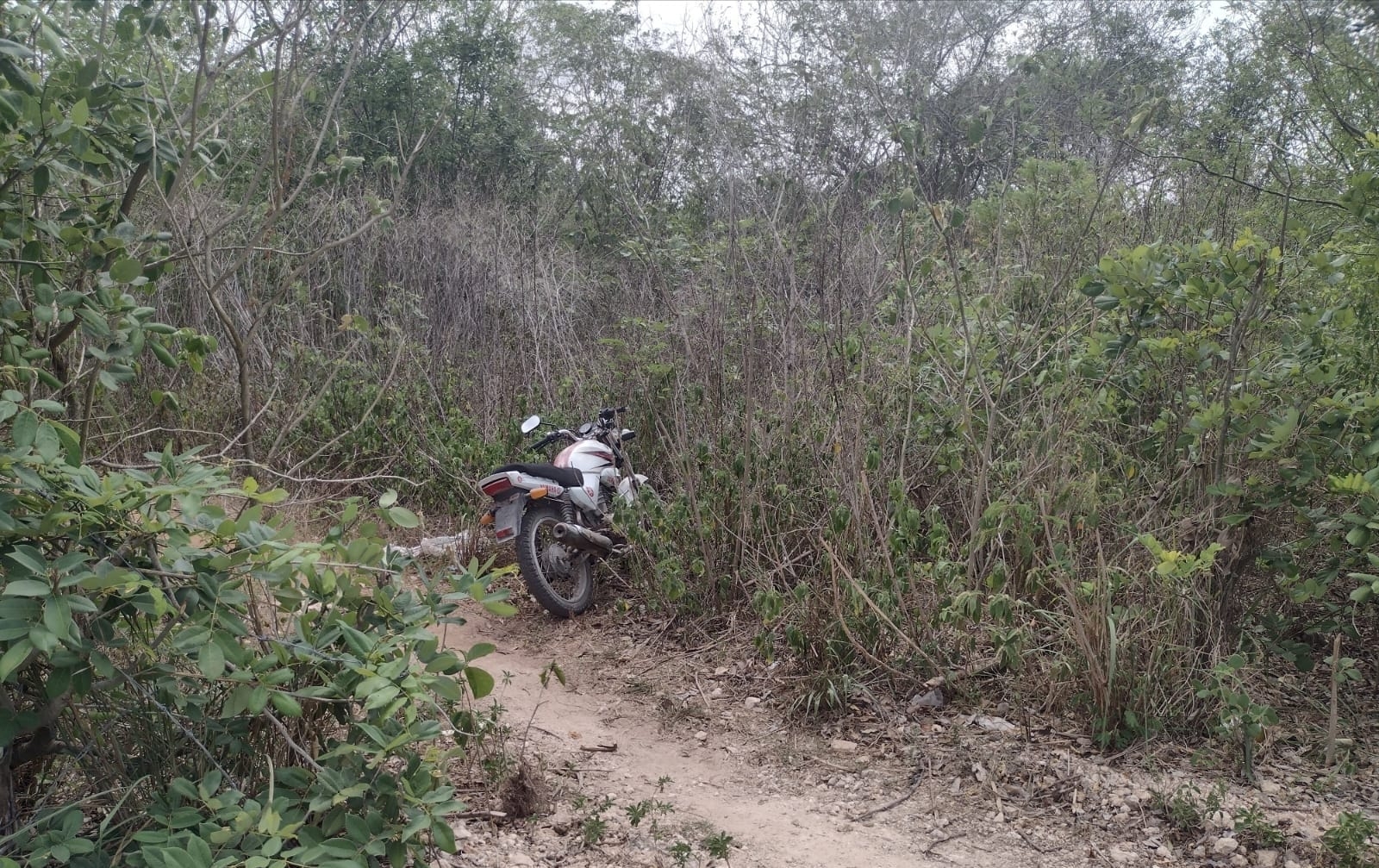 Roban moto y aparece tres horas después en un rancho de Buctzotz, Yucatán