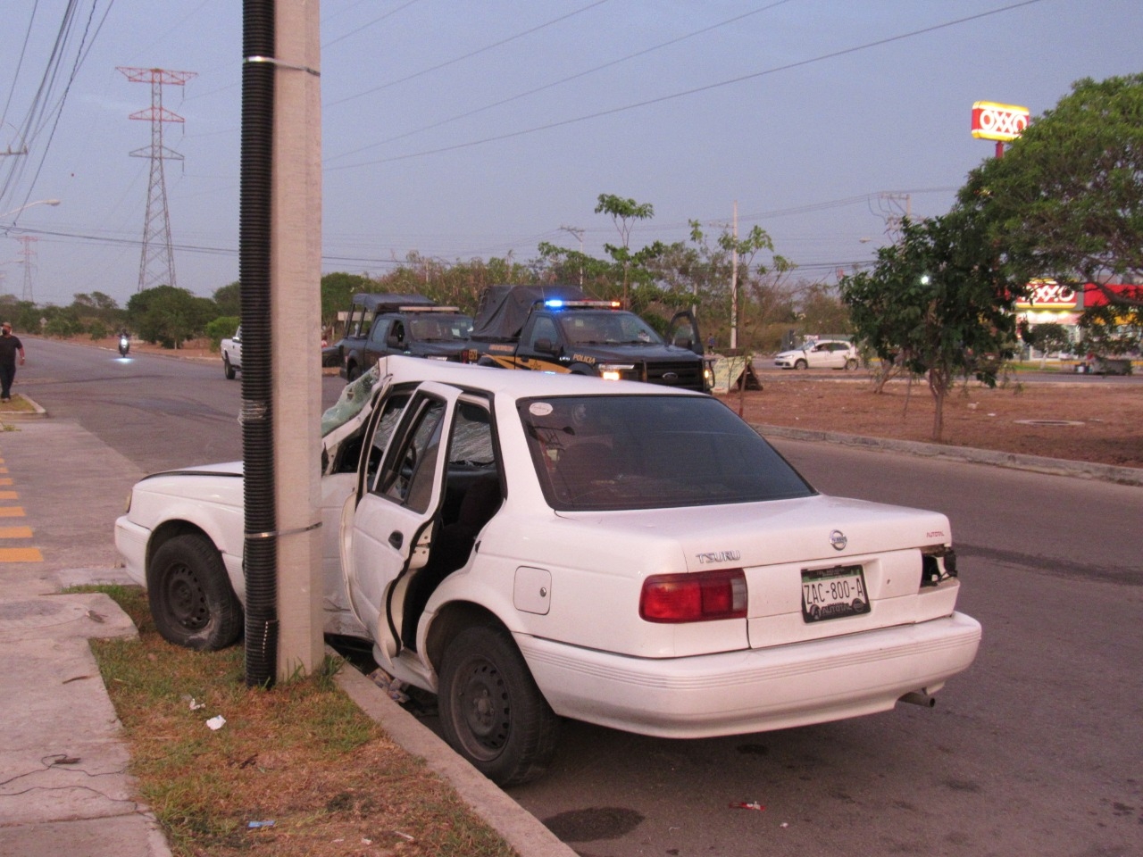 Un tsuru terminó golpeando contra un poste eléctrico