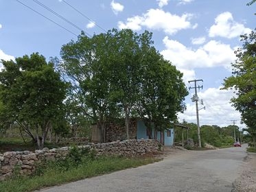 Desde el día viernes a las 11:00 horas ningún vecino tiene luz