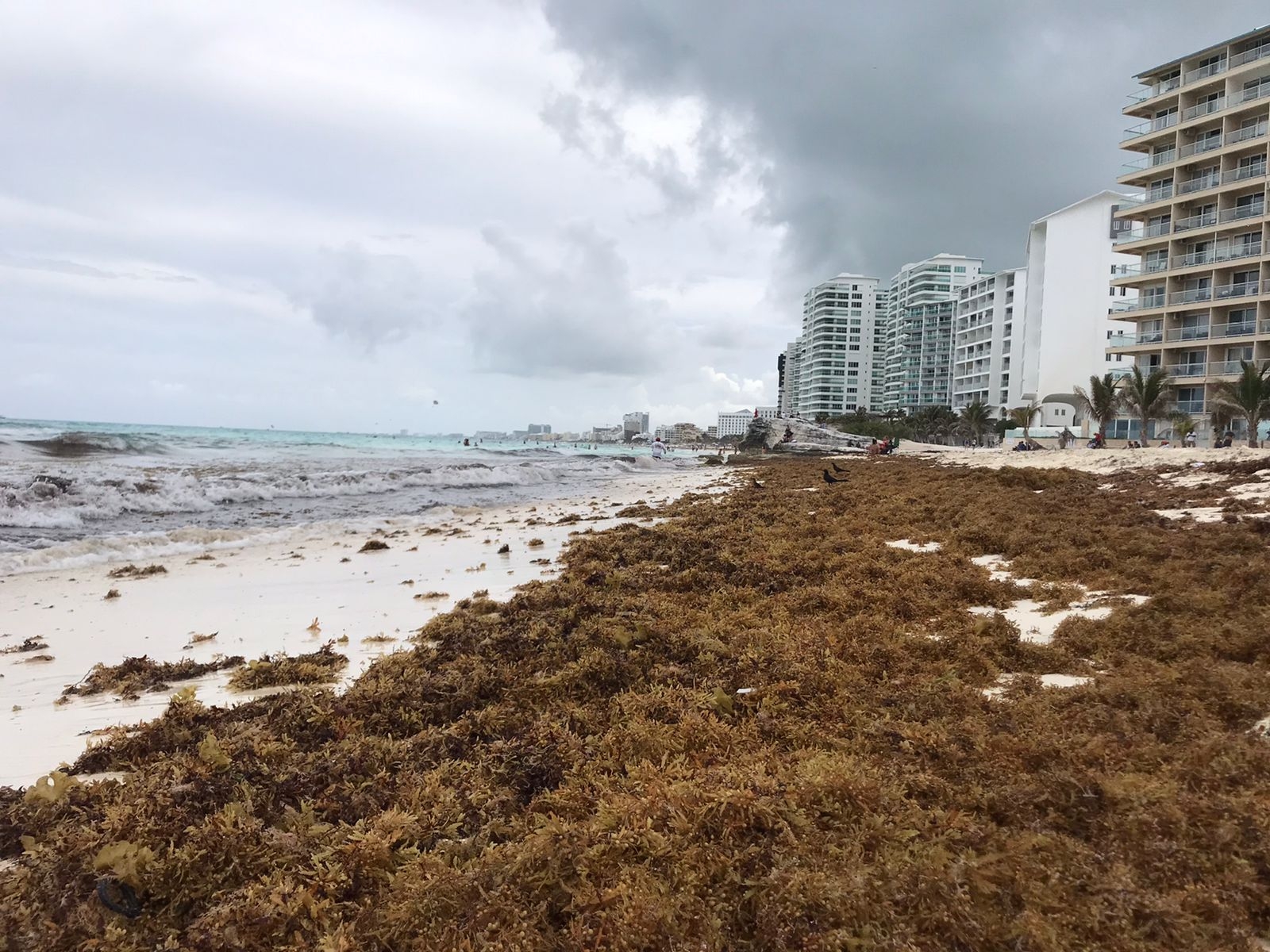 Estas son las playas más limpias de sargazo en Quintana Roo este 30 de mayo