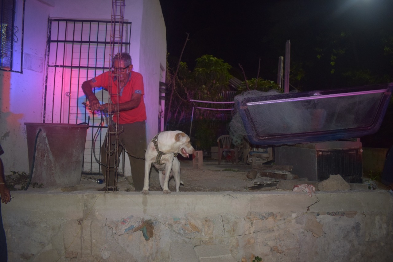 Patotas, un perro pitbull, mordió al agresor de su dueño para rescatarlo tras ser apuñalado en su vivienda