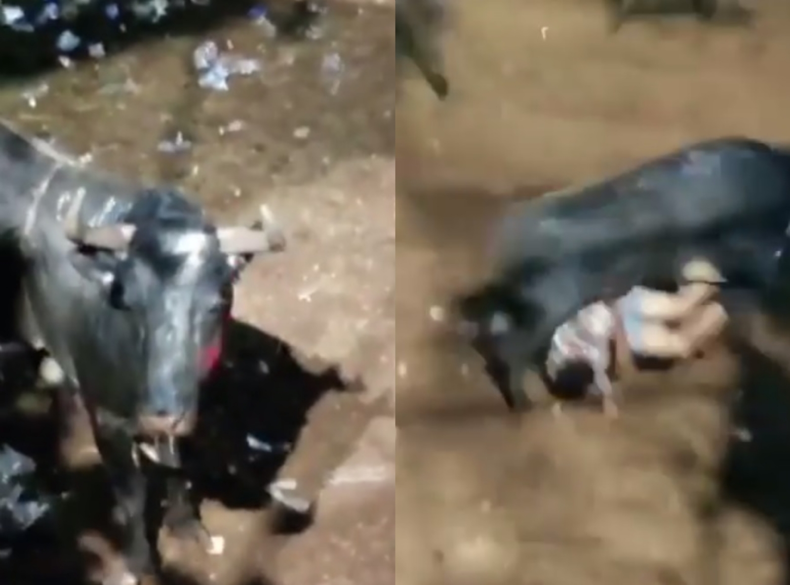 Cornado y en bóxer, así quedó un jinete durante una corrida en Santa Elena, Yucatán: VIDEO