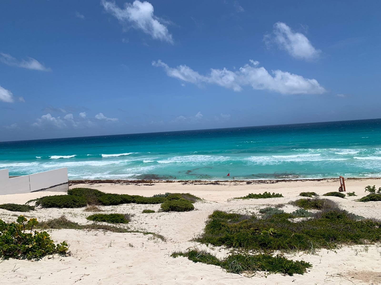 El recale de sargazo en Cancún ha colocado a la ciudad en el color amarillo del Semaforo de arribo del alga de la Semar