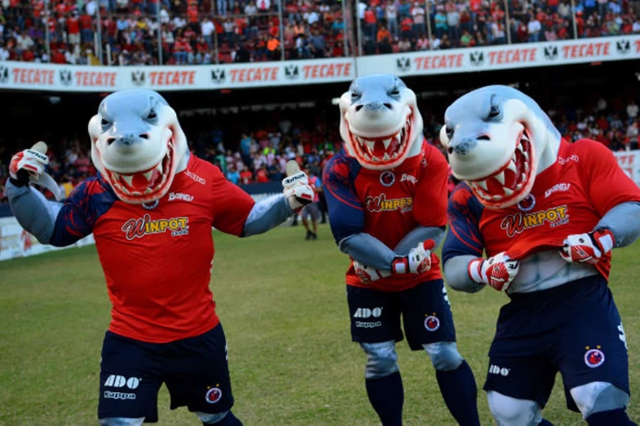 El estadio Luis Pirata Fuente fue la casa del los Tiburones Rojos de Veracruz durante muchos años, ahora luce en el abandono