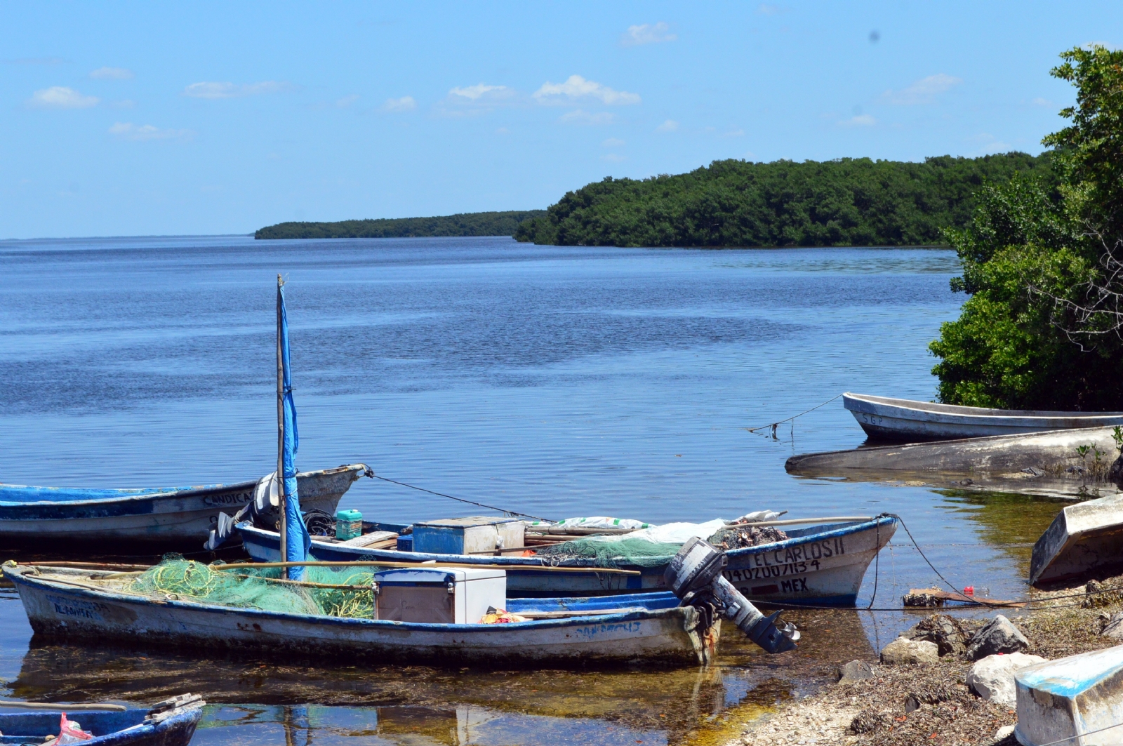 Estados de la Península de Yucatán buscan patrocinio por 50 mdd para conservar la selva maya