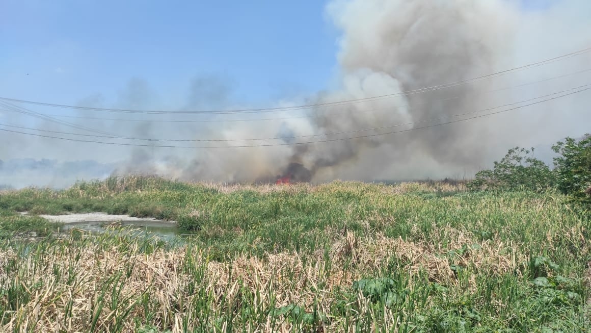 Incendio en Campeche destruye varias hectáreas de pastizales