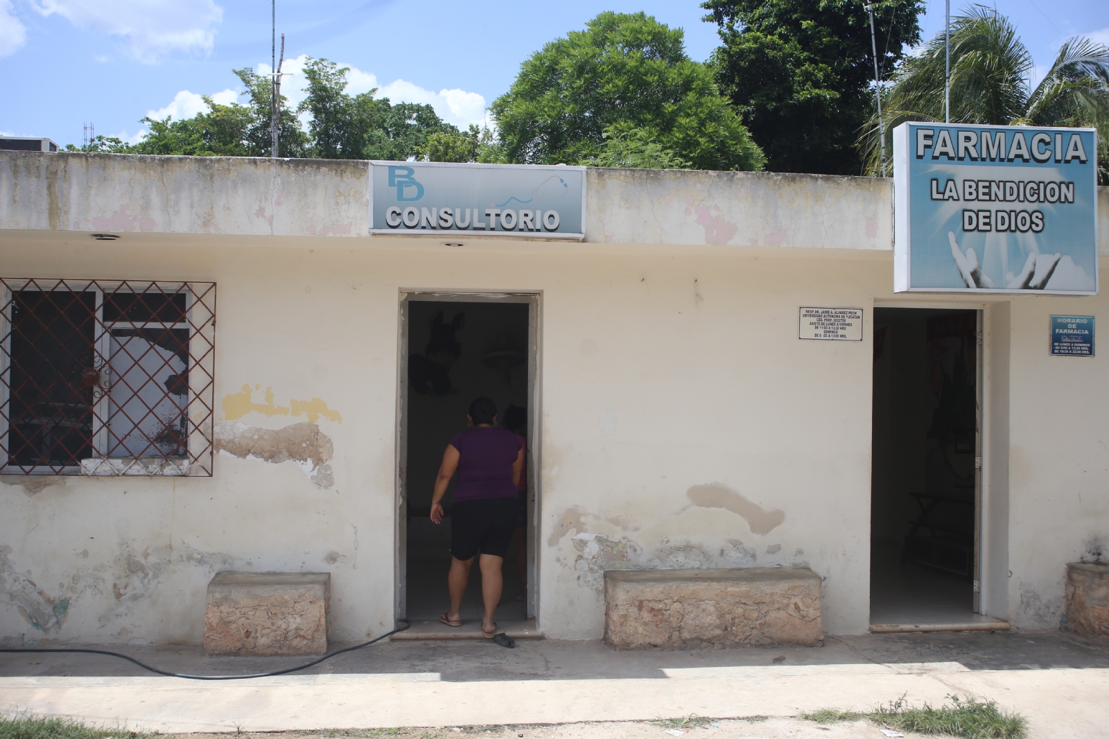 Seyé: Vendedor de cochinita señala a empresa Kaki de darle cerdos con clembuterol