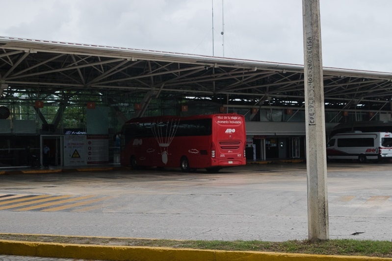 El conductor descendió a revisar una falla en el autobús cuando ocurrió el accidente