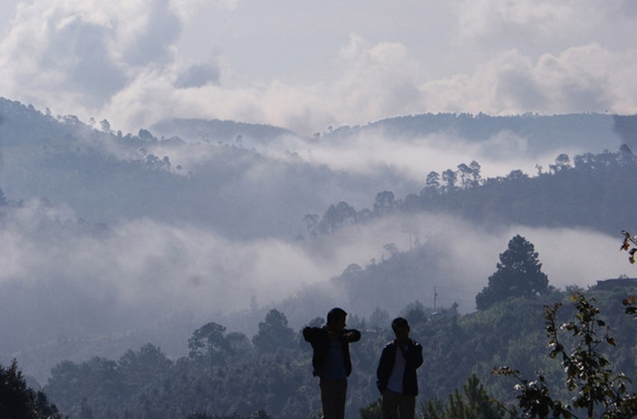 Comunidades de Guerrero quedan incomunicadas tras derrumbe en Cochoapa El Grande