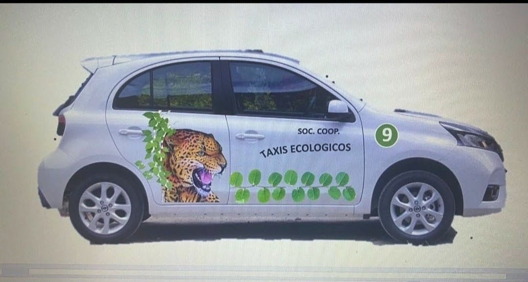 Minitaxis Ecológicos reclaman más concesiones en Ciudad del Carmen