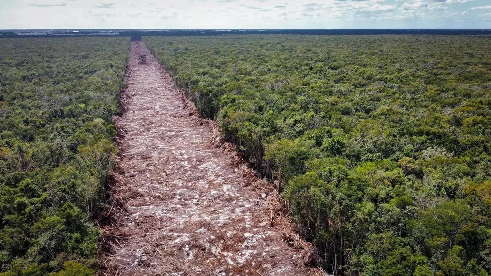 Fernando Vázquez Rosas señaló que va bien el proceso para revertir la suspensión de la obra, ordenada por un Juez Federal