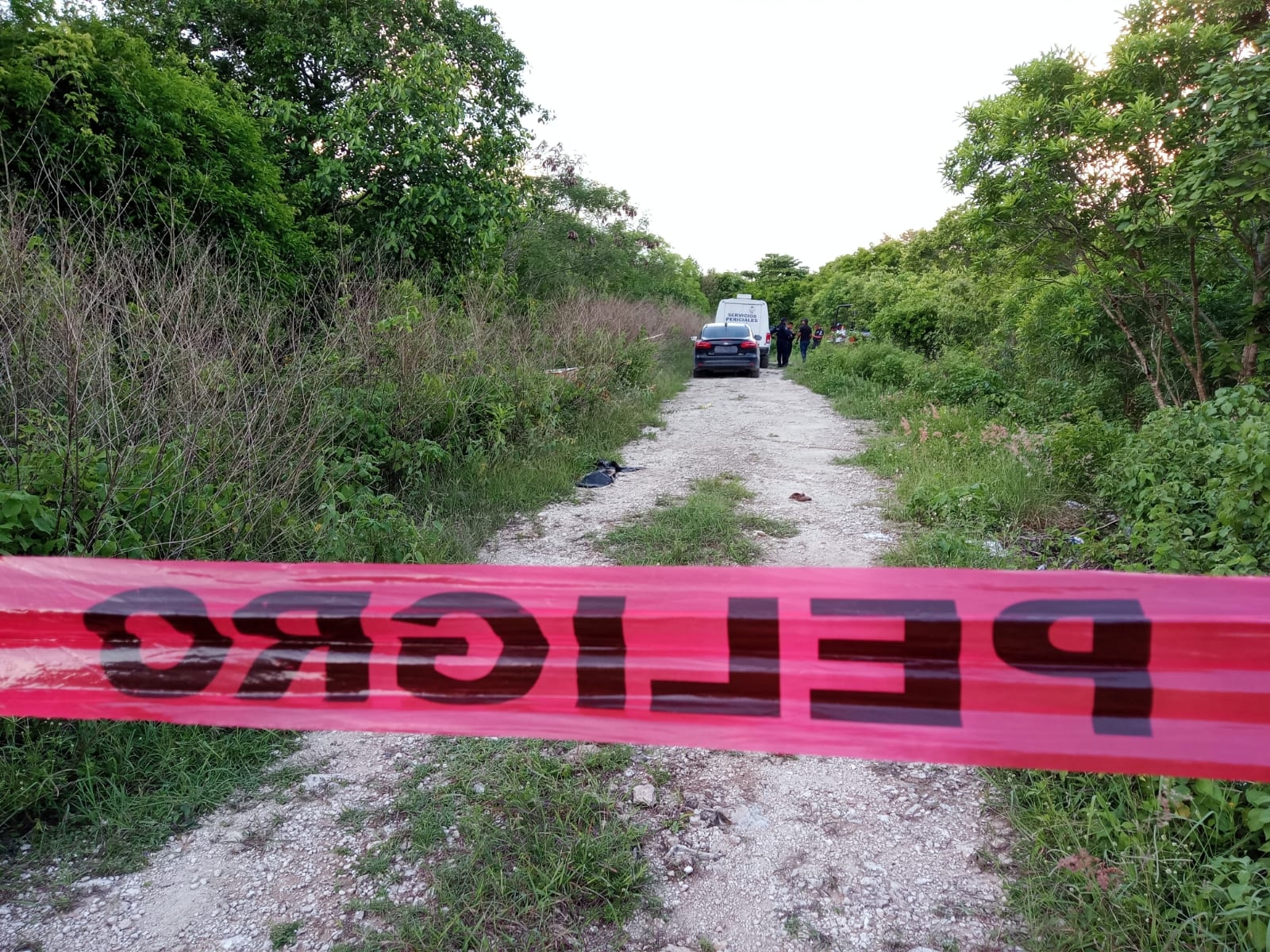 Localizan cuerpo de un hombre en la colonia Mar de Cristal en la Zona Continental de Isla Mujeres