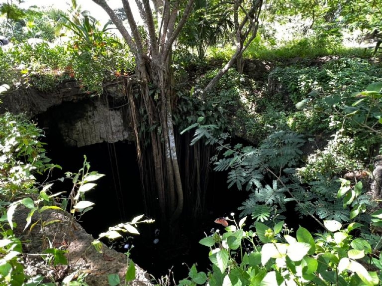 Pobladores se arroban al cenote 7 bocas en Sucopó