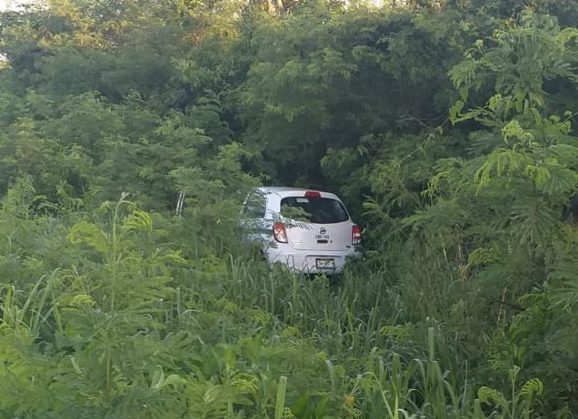 El auto terminó entre la maleza