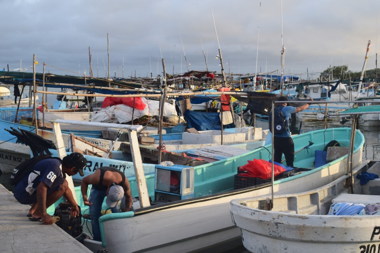 “Es muy complicado vivir de la pesca hoy en día”, aseguran los embarcadores de Progreso