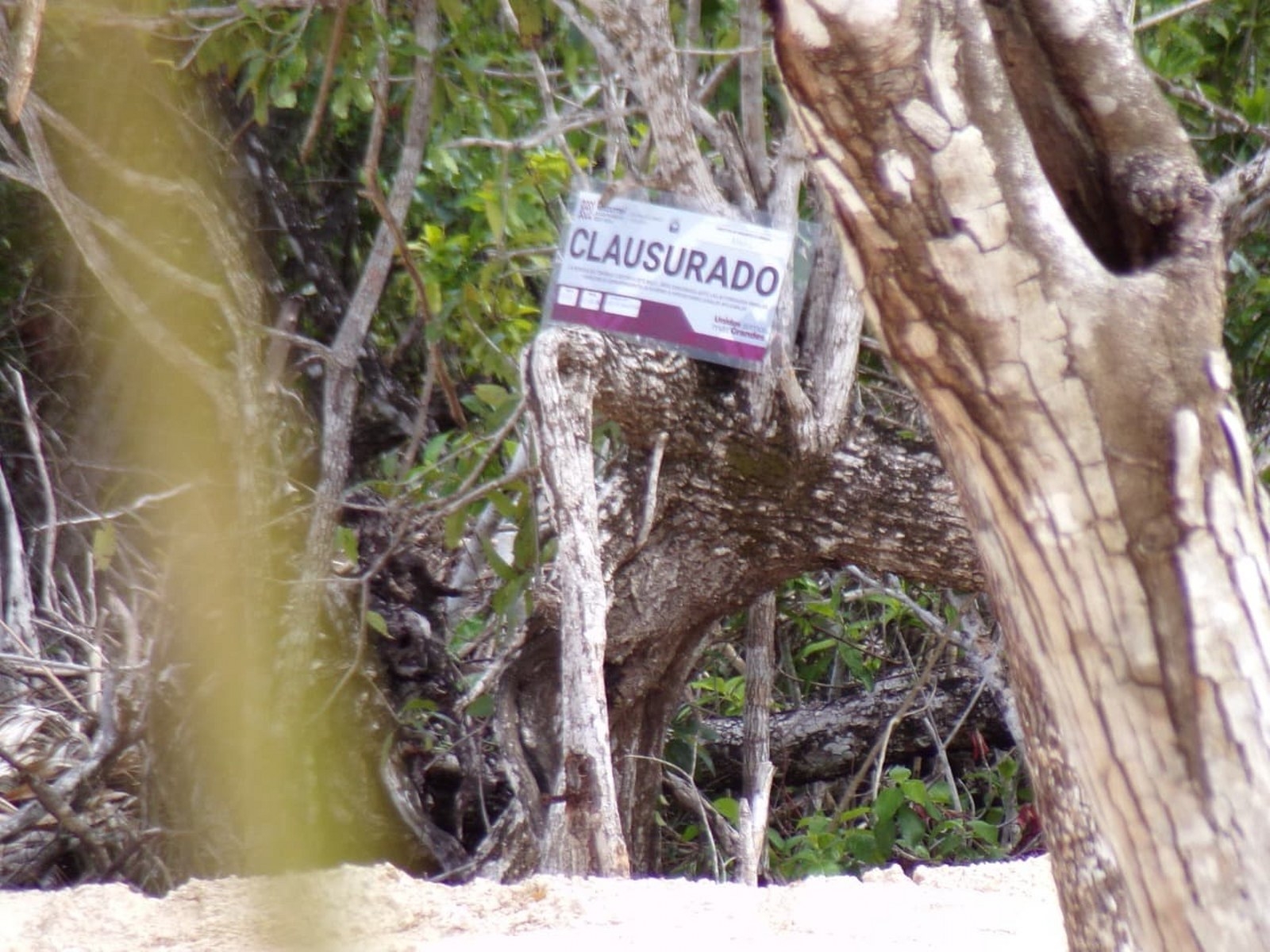 Ambientalistas acusan clausura simulada de las obras de un parque ecoturístico en Cozumel