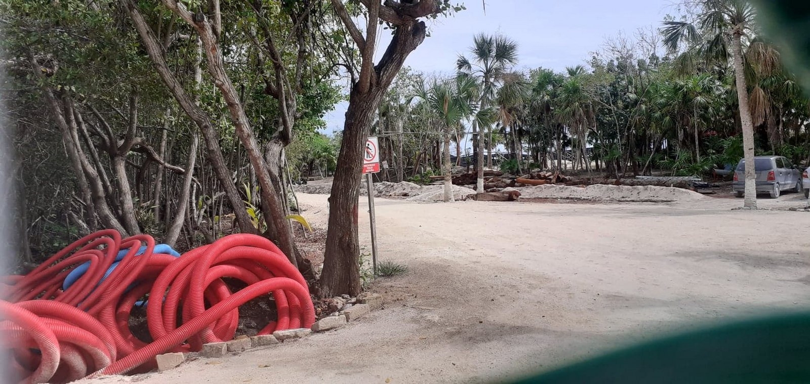 Parque Lakam Ha en Cozumel devastó más de cuatro mil metros cuadrados de selva, indican