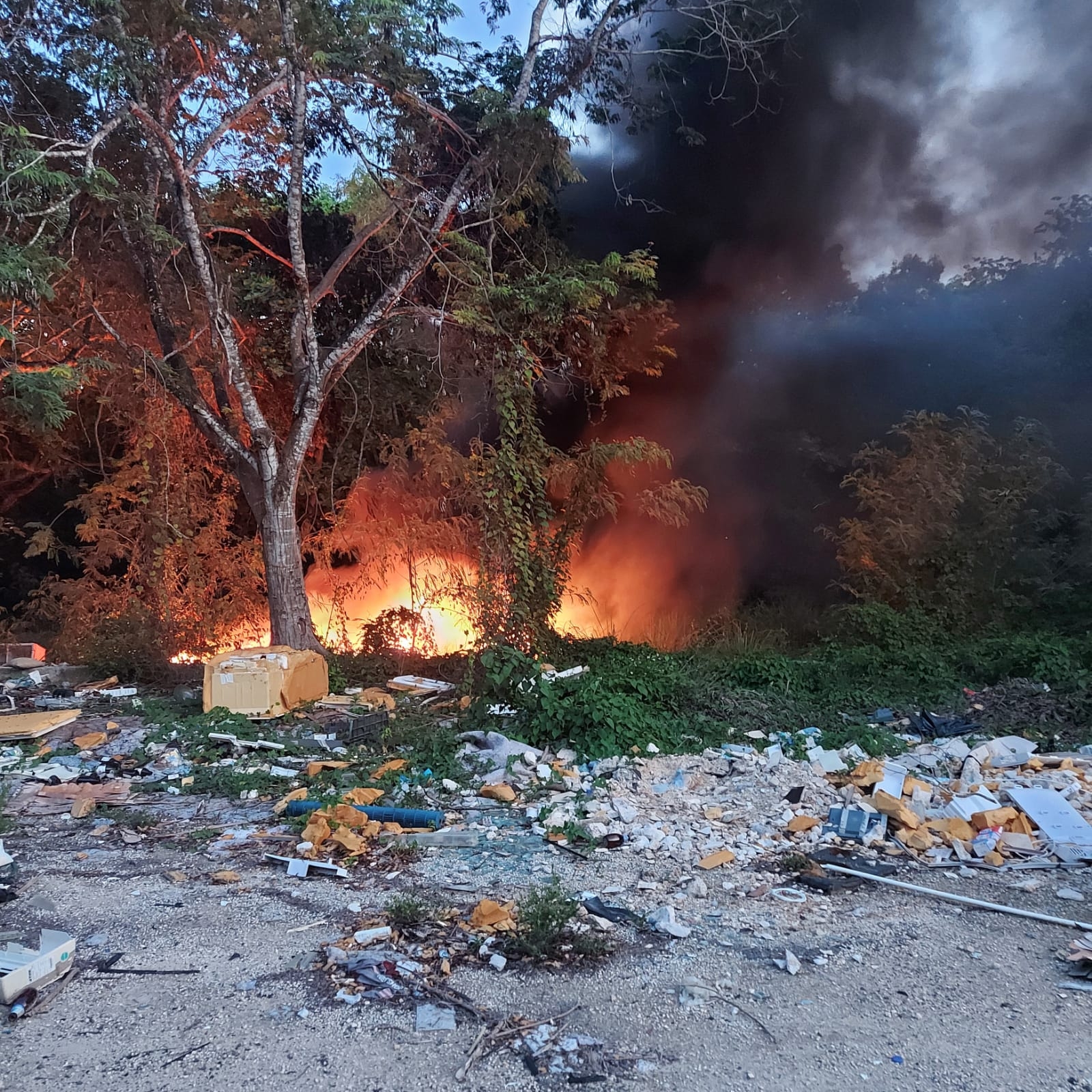 Un incendio de maleza alertó a pobladores de Chetumal