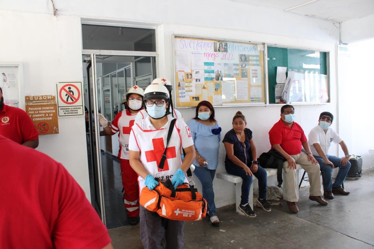 Abejas africanas atacan a 15 estudiantes en la preparatoria CBTIS No.9 de Campeche